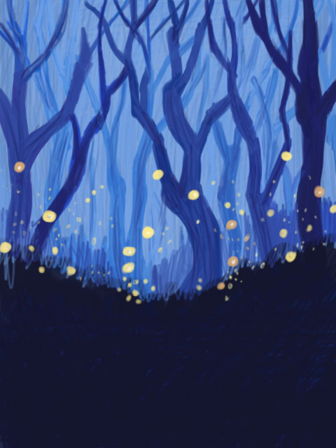 10-18-13_fireflies